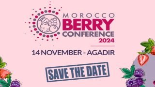 أكادير تستضيف فعاليات النسخة الخامسة من تظاهرة “موروكو بيري”