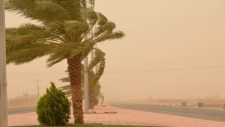 تحذير عاجــــــــــــــــل : رياح قوية محملة بالغبار تغزو بعض مناطق المملكة
