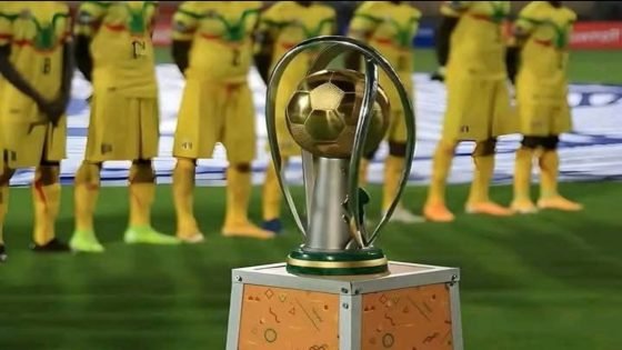 الكاف يؤجل بطولة إفريقيا للاعبين المحليين إلى غشت 2025