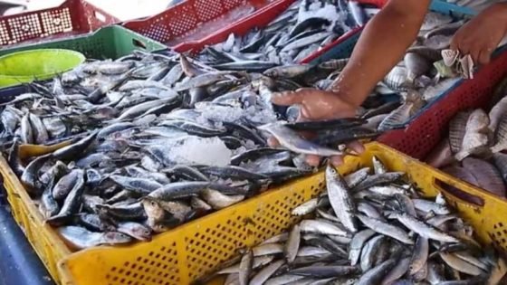 ارتفاع أسعار السمك مع اقتراب رمضان يثير استياء المواطنين
