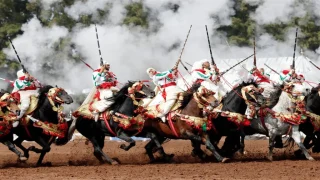 الرباط..توقيع إتفاقية شراكة لتثمين منظومة “فنون الفروسية ـ التبوريدة”