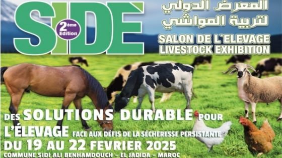 الجديدة تستضيف فعاليات الدورة الثانية من المعرض الدولي لتربية المواشي