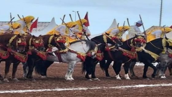 الإقصائيات الجهوية لفنون التبوريدة التقليدية الجديدة ـ سطات خلال موسم 2025   