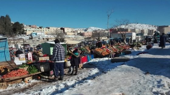 هل المضاربون (الشناقة) هم السبب الرئيسي لارتفاع الأسعار في الأسواق المغربية