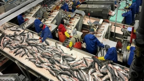 صادرات المغرب من المنتجات البحرية إلى الاتحاد الأوروبي تتجاوز 112 مليون يورو
