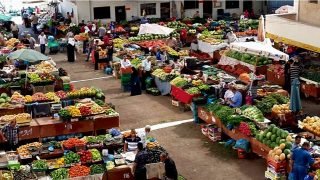 منصة رقمية لثورة في سوق الفلاحة المغربية: هل تقضي على الوسطاء في الأسعار؟