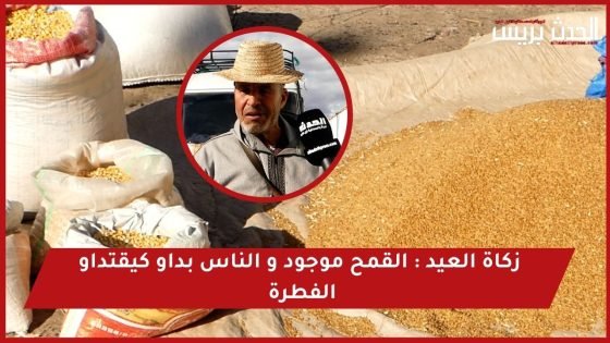 فيديو..زكاة العيد : القمح موجود و الناس بداو كيتقداو الفطرة