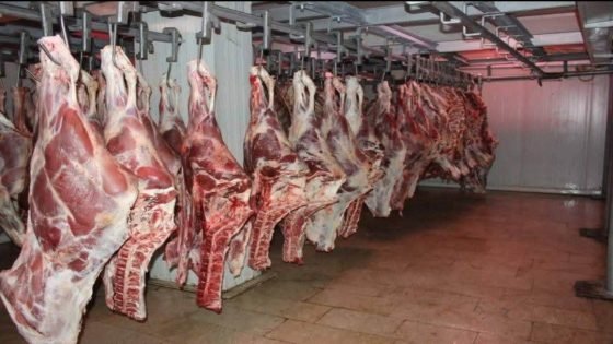 المغرب يفتح أبوابه أمام لحوم الأبقار البرازيلية