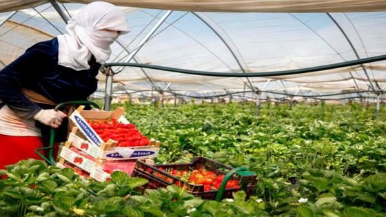 عاملات مغربيات في هويلفا يؤسسن أول نقابة تمثلهن في إسبانيا