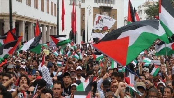 وقفات تضامنية حاشدة مع غزة.. لا للتجويع لا للتهجير لا للتطبيع