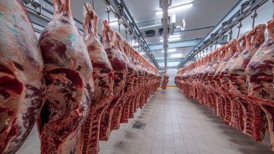 ارتفاع واردات المغرب من اللحوم الإسبانية في الربع الأول من 2025