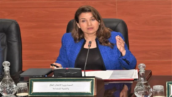 الإستراتيجية الوطنية للتنمية المستدامة 2035 : خطة شاملة لتحقيق تحول بيئي عادل و مندمج في المغرب