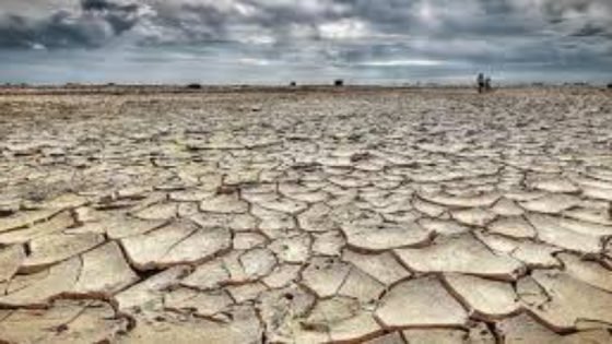 المغرب ضمن أكثر الدول تضرراً من الجفاف عالمياً(تقرير دولي)