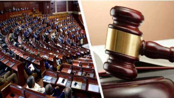 الإثراء غير المشروع تحت مجهر القانون: مبادرة تشريعية جريئة لكشف المستور ومحاسبة المتورطين