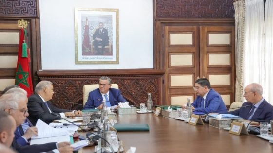 مجلس الحكومة يصادق على قانون جديد لحماية الحيوانات الضالة والوقاية من أخطارها