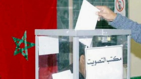 الانتخابات في المغرب: بين هيمنة المال وتهميش الكفاءات