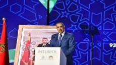 حموشي يعزز التعاون الأمني الدولي بـ43 لقاءً ثنائياً خلال مؤتمر الأنتربول بمراكش