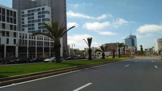 مجلس جماعة الرباط ينفي تغيير اسم شارع النخيل إلى “ترامب”