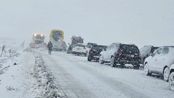 طقس بارد وضباب كثيف شمالًا ورياح محملة بالغبار بالجنوب اليوم الخميس